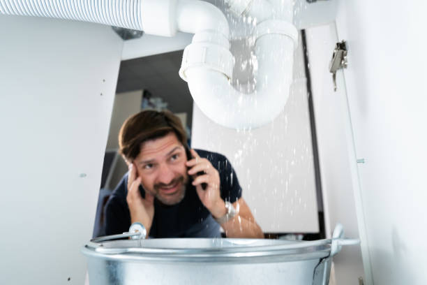 Best Sewer Line Repair  in Delphos, OH